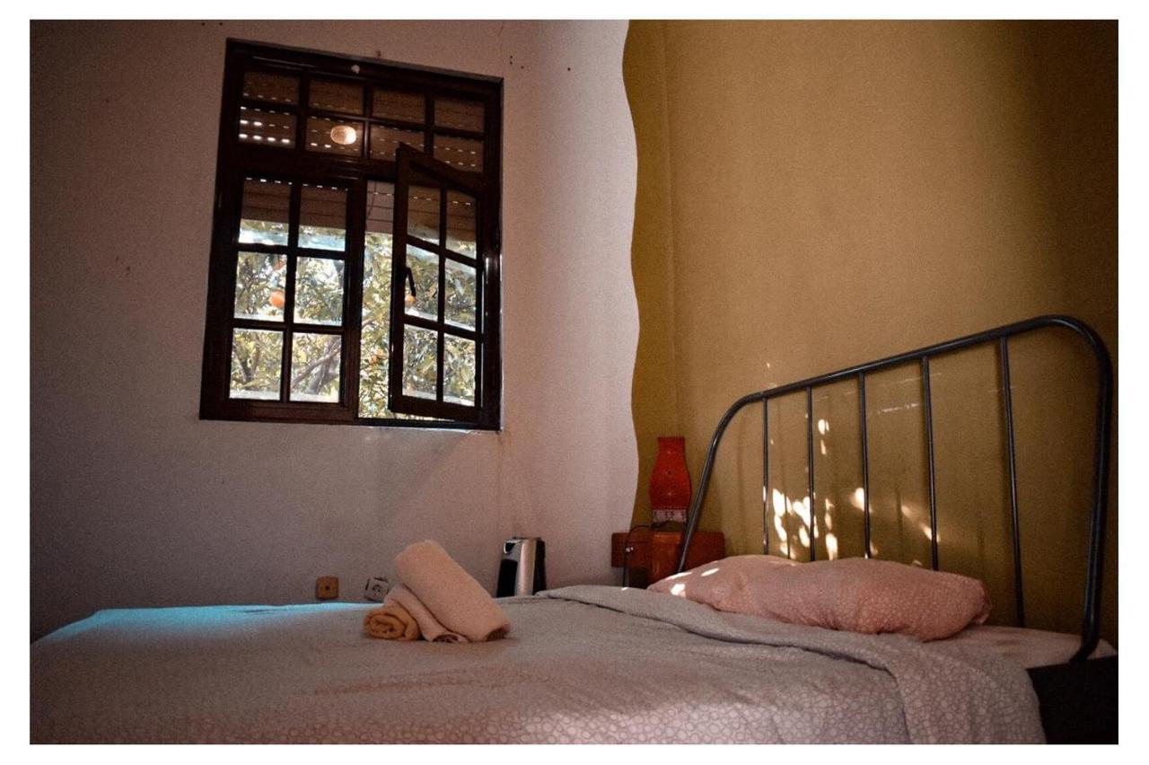 Family Adams House Hostel Брага Экстерьер фото